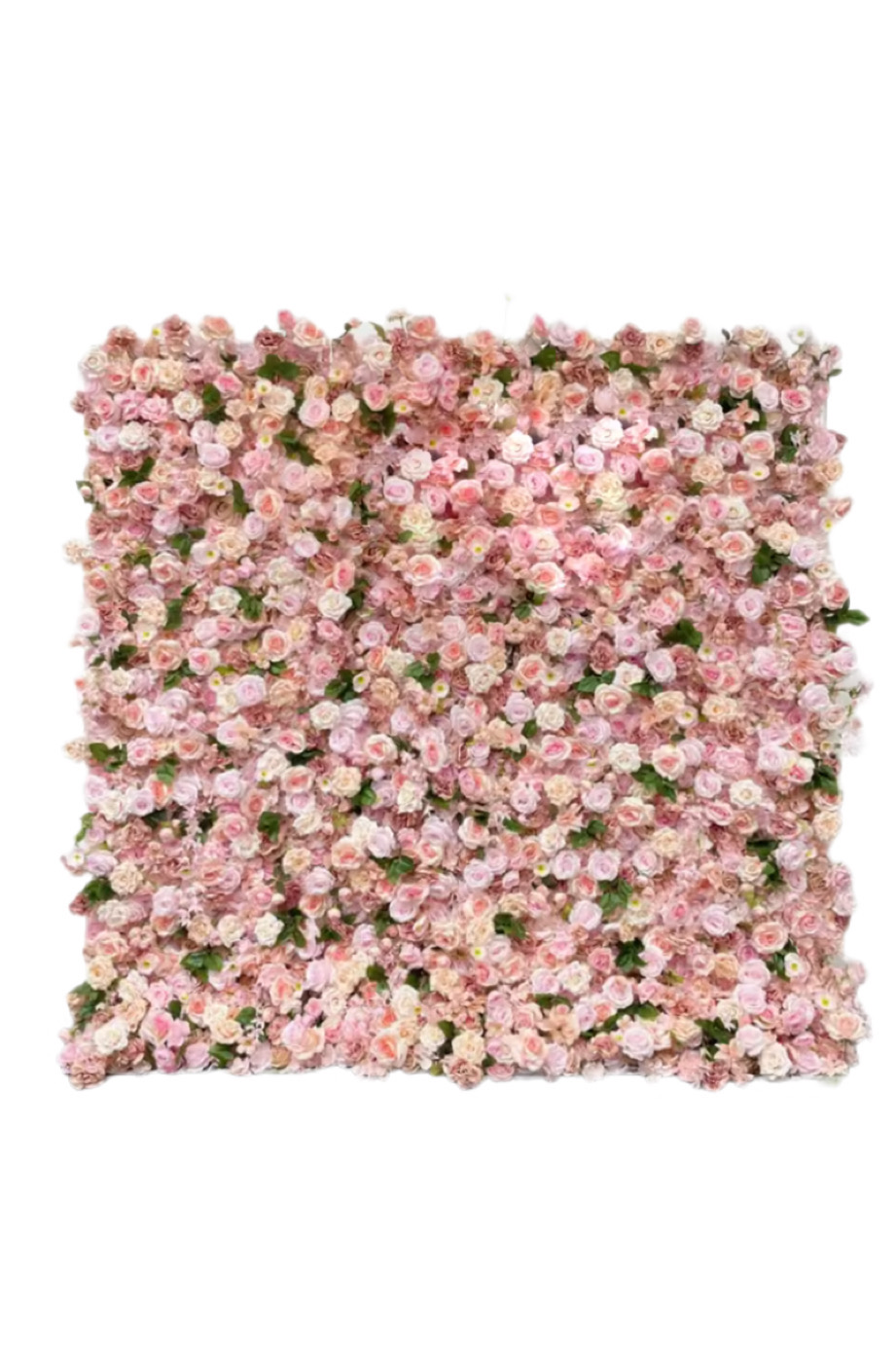 Rosa kukkaseinä 2x2m